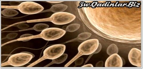 intim sperma keyfiyyetini yükseldir