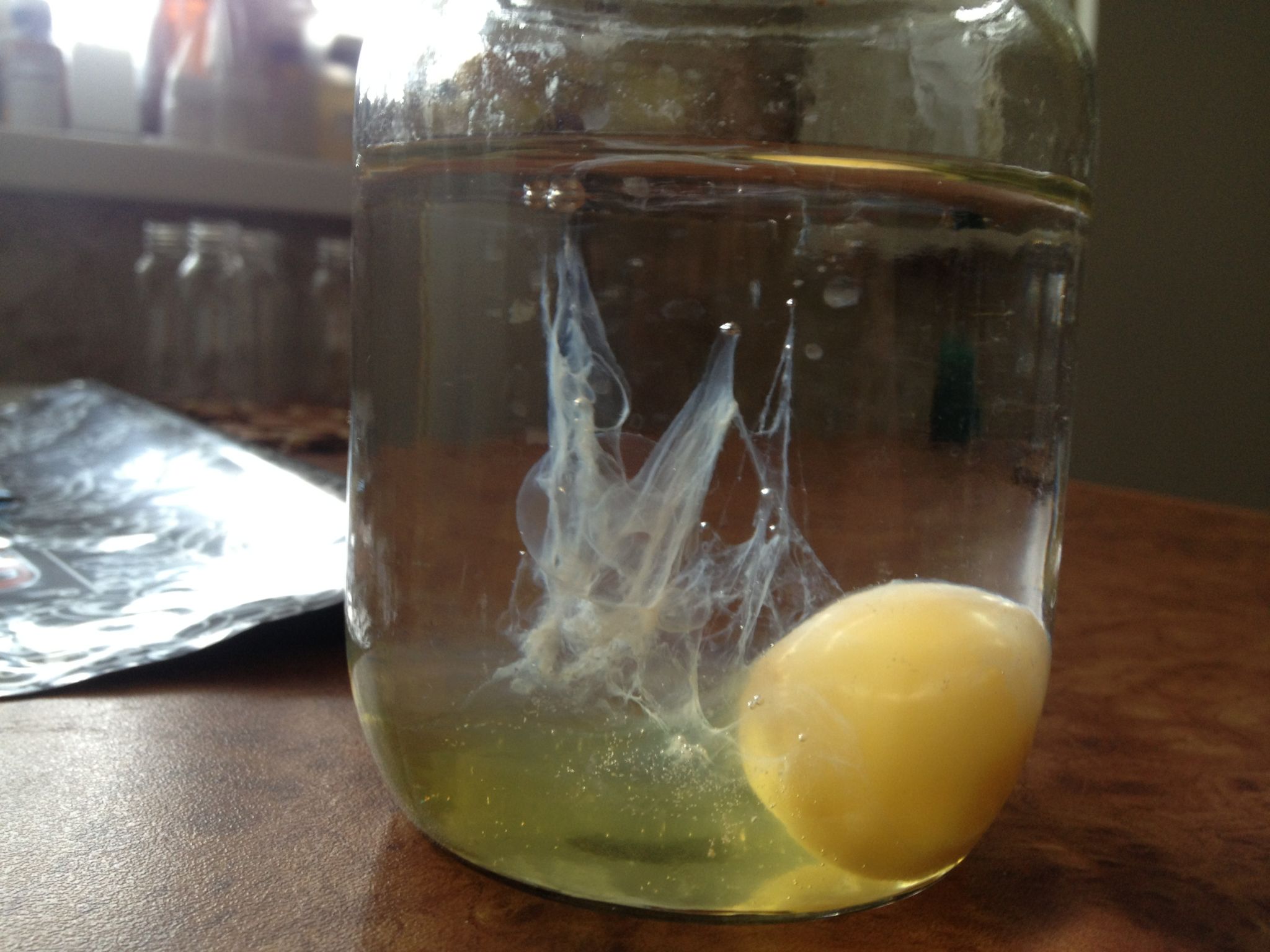 яйцо в стакане с водой фото