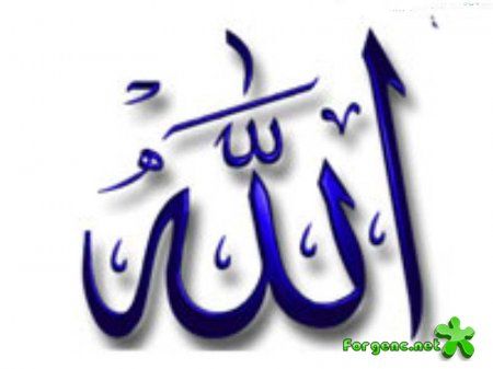 Azərbaycanda “Allah.az” saytı açılır