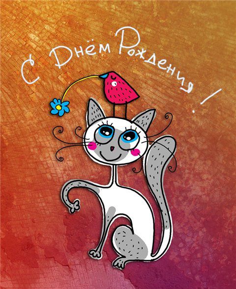 Кошки в нашей жизни. Кошки и все, что с ними связано. Кошки в нашей жизни. Кошки и все, что с ними связано.