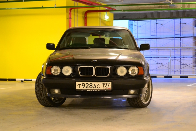 1427654231.jpg