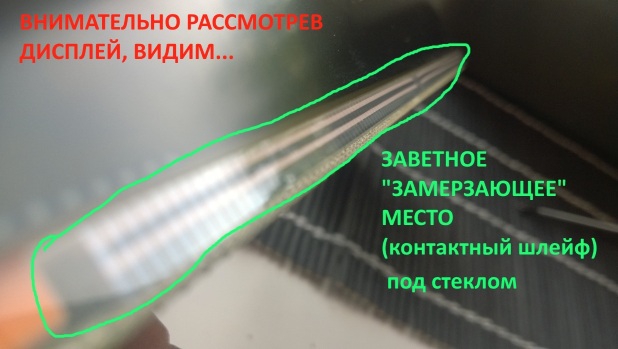 1429782810.jpg