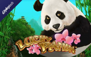 Lucky Panda     newvulcanclub.net