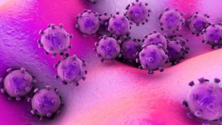 Yeni müəmmalı virus: yoluxma riskini necə azaltmalı? Həkimlərin tövsiyəsi