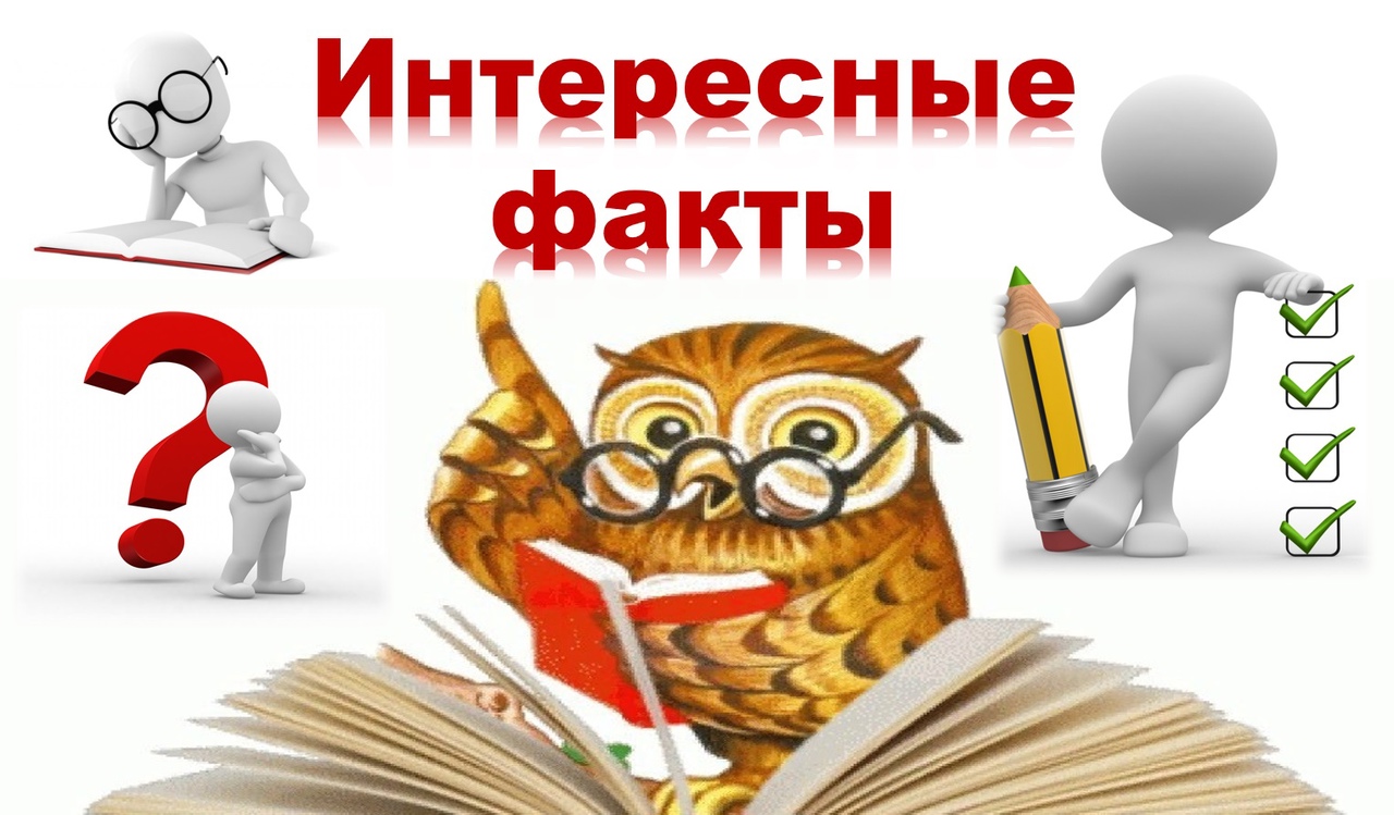 Картинка для интересных фактов