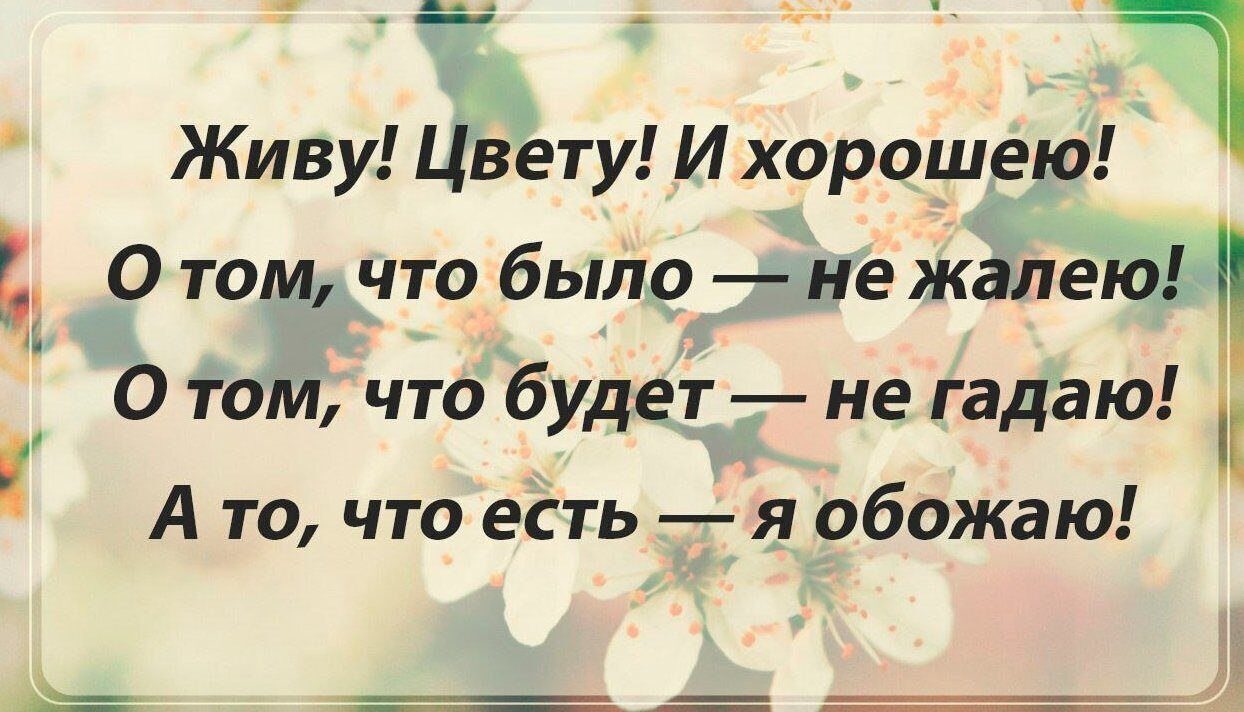 Статус что будет то будет. Хорошие цитаты. Живу цвету и хорошею цитаты. Жить хорошо афоризмы. Статусы.