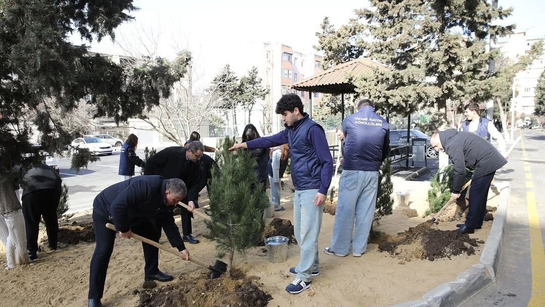 Nizami rayonunda növbəti məhəllə abadlaşdırılaraq sakinlərin istifadəsinə verilib. Bu nümunəvi təşəbbüsdə Bakı Texniki Kollecinin müəllim və tələbələri də fəal iştirak etdilər.